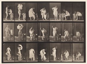 Tavle 493. Toilettets Diverse faser, 1872-1885 af Eadweard Muybridge