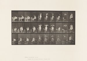 Plade 494. Toilettets forskellige faser af Eadweard Muybridge