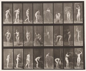 Tavle 499. Rivning og pakning af hø, 1872-1885 af Eadweard Muybridge