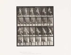 Plade 49. Gå og vende hurtigt rundt af Eadweard Muybridge