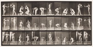Plade 501. Diverse, Bøjning, Knælende mv. af Eadweard Muybridge