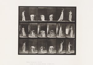 Plade 503. Diverse - Bøjning mv af Eadweard Muybridge