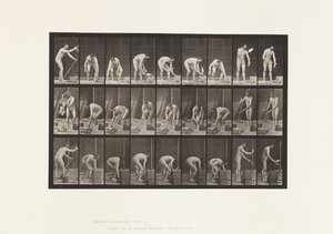 Plade 505. Murerarbejde af Eadweard Muybridge