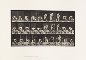 Tavle 506. Murerarbejde af Eadweard Muybridge