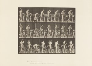 Tavle 507. Tømrerarbejde af Eadweard Muybridge