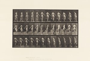 Tallerken 50. Går, bærer en spand af Eadweard Muybridge