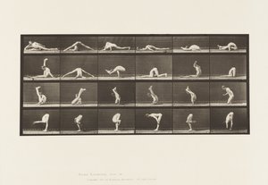 Tavle 510. Forvridninger på jorden, 1872-1885 af Eadweard Muybridge