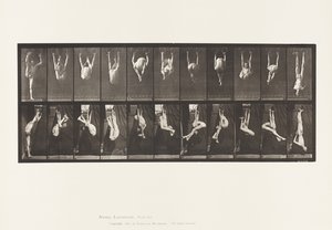 Plade 512. Forvridninger på ringe af Eadweard Muybridge
