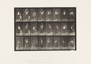 Tallerken 517. Diverse Bevægelser med Vandkrukke af Eadweard Muybridge