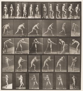 Tavle 521. A, Gang; B, Stigende Trin; C, Kastedisk af Eadweard Muybridge