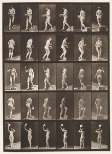 Plade 525. A, Faldende Trin; B, Stigende Trin;, 1872-1885 af Eadweard Muybridge