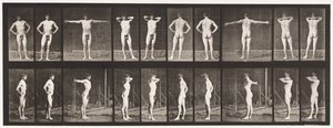Tavle 529. Forskellige Stillinger af Eadweard Muybridge