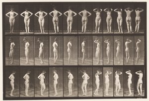 Tavle 531. Forskellige Stillinger af Eadweard Muybridge