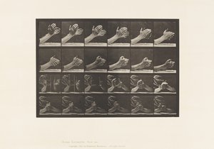 Tallerken 533. Håndens bevægelse; Klæber hænder, 1885 af Eadweard Muybridge