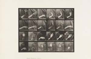Tavle 535. Håndens Bevægelse; Beating Time, 1885