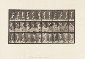 Plade 537. Enkelt amputation af ben; Hopper med krykker af Eadweard Muybridge