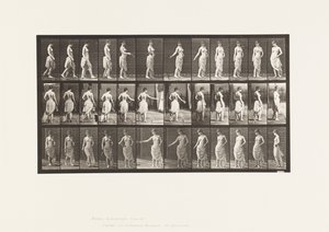 Plade 53. Gå, sprede blomster og vende handling af Eadweard Muybridge