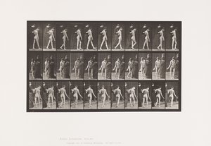Plade 541. Multipel Cerebro-Spinal Sklerose (Choreic); Gåture af Eadweard Muybridge