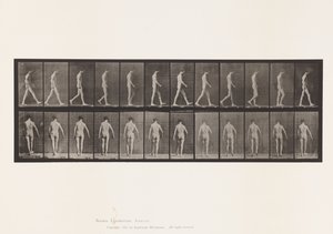 Plade 546.Locomotor Ataxia; Vandrende, 1885 af Eadweard Muybridge