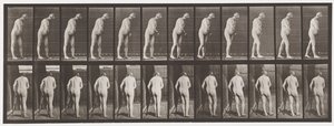 Plade 547.Hemiplegi; Walking with Crutch, 1885 af Eadweard Muybridge