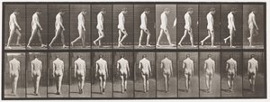 Plade 549.Epilepsi; Vandrende, 1885 af Eadweard Muybridge