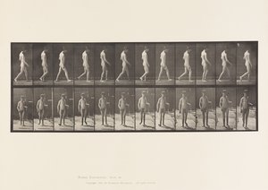 Plade 551.Epilepsi; Vandrende, 1885 af Eadweard Muybridge