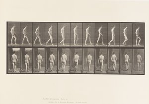 Plade 554.Locomotor Ataxia; Vandrende, 1885 af Eadweard Muybridge