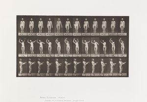 Plade 557.Lokal Chorea; A, B, C, mens du står, 1885 af Eadweard Muybridge