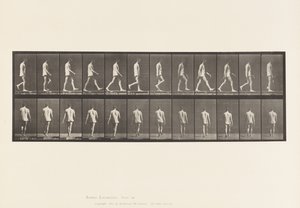 Plade 560.Locomotor Ataxia; Vandrende, 1885 af Eadweard Muybridge