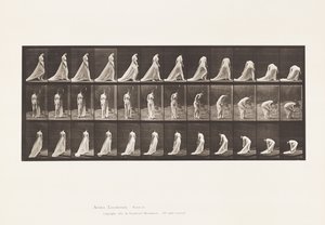 Plade 56. Gå, vende og bøje sig for at løfte tog af Eadweard Muybridge