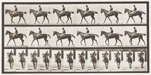 Tallerken 580.Gående; Sadel; Fuldblods Bay Hoppe Annie G., 1885 af Eadweard Muybridge