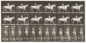 Plade 581.Walking;Bareback;Rider,43, Nøgen; Lysgrå hest Smith, 1885 af Eadweard Muybridge