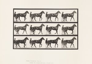 Tallerken 588.Gående; Sulky; Bay Horse Reuben, 1885 af Eadweard Muybridge
