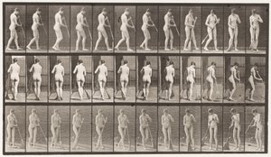 Plade 58. Gå, vende sig rundt feje gulvet af Eadweard Muybridge