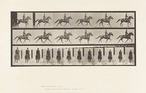 Plade 592. Gynge (Pacing): Sadel; Brun Hest Pronto af Eadweard Muybridge