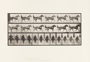 Plade 594. Vyngende (Pacing): Sulky; Brun Hest Pronto af Eadweard Muybridge