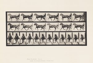 Plade 595. Vyngende (Pacing): Sulky; Brun Hest Pronto af Eadweard Muybridge