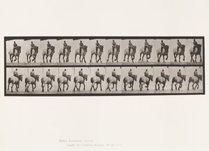 Tallerken 599. Trav; Bareback; Mørkegrå Dusel af Eadweard Muybridge