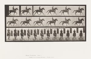 Tallerken 601. Trav; Sadel; Brun Hoppe skønhed af Eadweard Muybridge