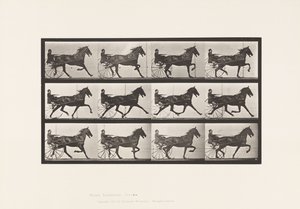 Tallerken 606. Trav; Sulky; Bay Horse, Ruben af Eadweard Muybridge