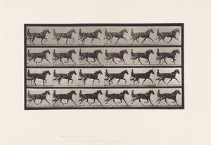 Tallerken 608. Trav; Sulky; Sorrel Hoppe, Flode Holden af Eadweard Muybridge