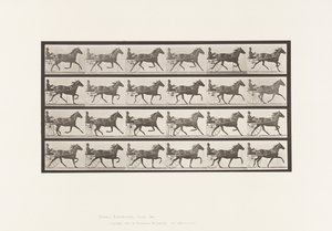 Tallerken 609. Trav; Sulky; Bay Mare, Lizzie M. af Eadweard Muybridge