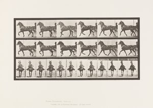 Tallerken 612. Trav; Sulky; Bay Horse, Dereumd af Eadweard Muybridge