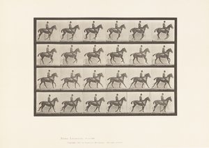 Tavle 616. Galop; Sadel; Bay Horse Daisy af Eadweard Muybridge