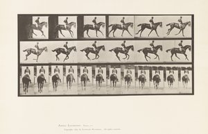 Tavle 620. Galop; Sadel; Fuldblods Bay Mare Annie 6. af Eadweard Muybridge