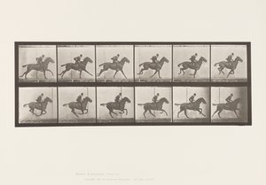 Tallerken 624. Galop; Sadel; Bay Horse Daisy af Eadweard Muybridge