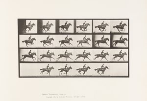Tallerken 625. Galop; Fuldblods Bay Hestebuket af Eadweard Muybridge
