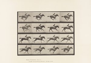 Tallerken 626. Galop; Fuldblods Bay Hoppe Annie G. af Eadweard Muybridge