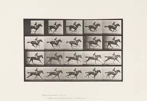 Tallerken 627. Galop; Fuldblods Bay Hoppe Annie G. af Eadweard Muybridge