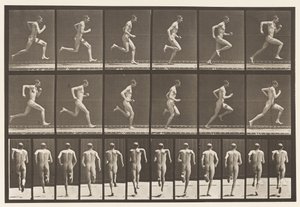 Plade 62. Kører i fuld fart., 1872-1885 af Eadweard Muybridge